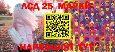 гидра Заводоуковск