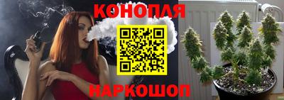 гидра Заводоуковск