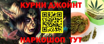 гидра Заводоуковск