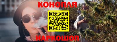 гидра Заводоуковск