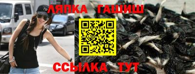 гидра Заводоуковск
